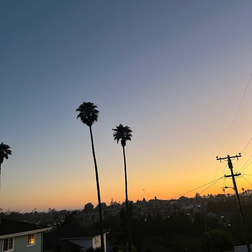 Meet your Posher, Aaron